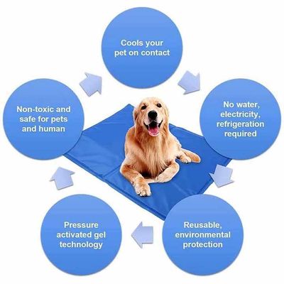 Réfrigération d'été Tapis pour animaux de compagnie en latex PVC et nylon Lit pour chat et chien avec glace Soie fraîche