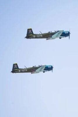 Modèle d'avion d'entraînement civil volant CJ6