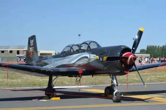 Fabriqué en Chine Compétitif Avion civil de loisirs CJ6 Modèle d'avion privé