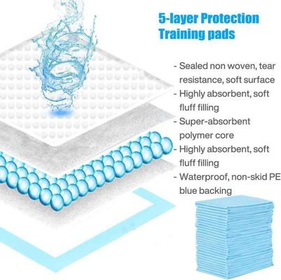 Couches pour animaux sans odeur pour petits et grands chiens avec couches jetables durables