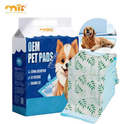 OEM coton hautement absorbant mâle et femelle couche jetable pour chien