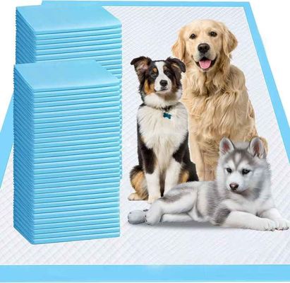 Nouveauté conçue à la vente en vente chaude à haute absorbance fourniture pour animaux de compagnie couche pour chiens couches pour animaux de compagnie couches écologiques