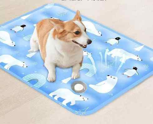 Tapis d'été de refroidissement de glace de soie de lavatrice pour animaux de compagnie tapis de refroidissement pliable pour chiens et chats