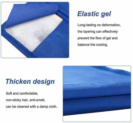 Réfrigération d'été Tapis pour animaux de compagnie en latex PVC et nylon Lit pour chat et chien avec glace Soie fraîche