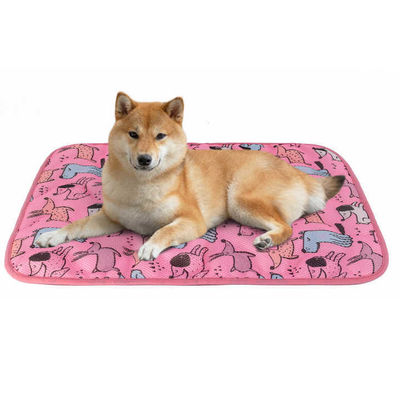 Réfrigération d'été Tapis pour animaux de compagnie en latex PVC et nylon Lit pour chat et chien avec glace Soie fraîche