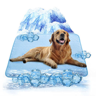 Réfrigération d'été Tapis pour animaux de compagnie en latex PVC et nylon Lit pour chat et chien avec glace Soie fraîche