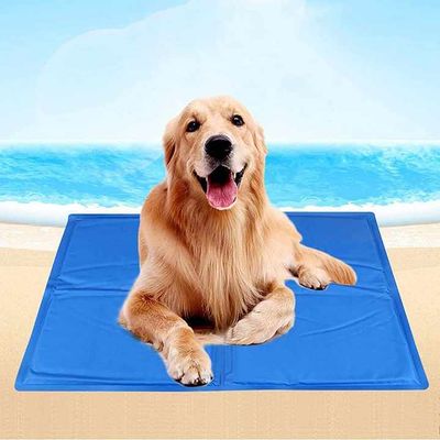 Réfrigération d'été Tapis pour animaux de compagnie en latex PVC et nylon Lit pour chat et chien avec glace Soie fraîche