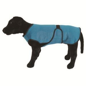 Manteau rafraîchissant pour chiens printemps été, vêtements avec matériau de copeaux de glace et laisse, gilet rafraîchissant pour chiens