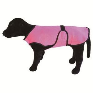 Manteau rafraîchissant pour chiens printemps été, vêtements avec matériau de copeaux de glace et laisse, gilet rafraîchissant pour chiens