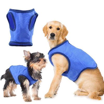 Manteau rafraîchissant pour chiens printemps été, vêtements avec matériau de copeaux de glace et laisse, gilet rafraîchissant pour chiens