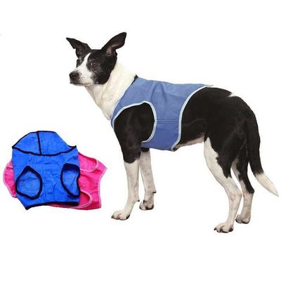 Manteau rafraîchissant pour chiens printemps été, vêtements avec matériau de copeaux de glace et laisse, gilet rafraîchissant pour chiens